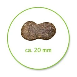 Belcando Adult Lamm & Reis -Angebote Hunde Moden Store 387513 belcando lamb rice 8