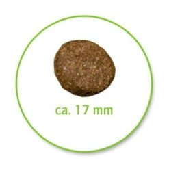 Belcando Senior Sensitive 5 Belcando Senior Sensitive -Angebote Hunde Moden Store 387515 belcando senior 4