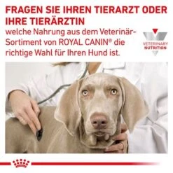 Royal Canin Veterinary Canine Gastrointestinal High Fibre -Angebote Hunde Moden Store 390502 390596 390696 royalcanan veterinary canine gastrointestinal highfibre hs 09 8