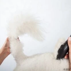 Schermaschine Moser Max50 -Angebote Hunde Moden Store 465281 schermaschine moser max 50 02 0