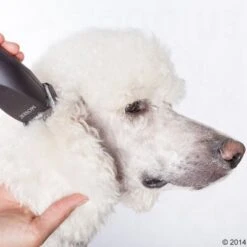 Schermaschine Moser Max50 -Angebote Hunde Moden Store 465281 schermaschine moser max 50 05 4