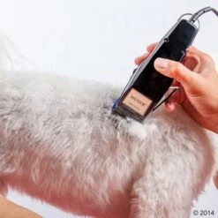 Schermaschine Moser 1400 -Angebote Hunde Moden Store 465374 schermaschine moser 1400 03 3