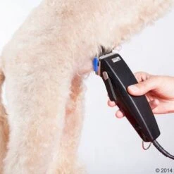 Schermaschine Moser Rex -Angebote Hunde Moden Store 465375 schermaschine moser rex 02 5