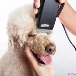 Schermaschine Moser Rex -Angebote Hunde Moden Store 465375 schermaschine moser rex 04 0