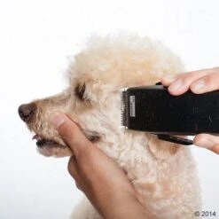 Schermaschine Moser Rex -Angebote Hunde Moden Store 465375 schermaschine moser rex 05 2