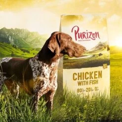 Purizon Probierpaket 2 X 1 Kg -Angebote Hunde Moden Store 4 chicken 1