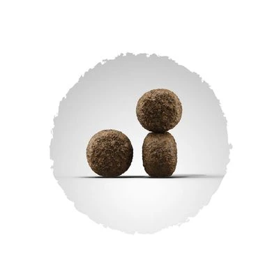 Josera High Energy 2 Josera High Energy – Bild 2