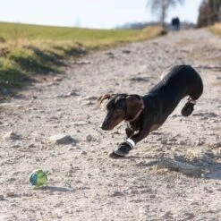 Hundeschuhe S & P Boots -Angebote Hunde Moden Store 52149 hundeschuhe xs fg 0967 9