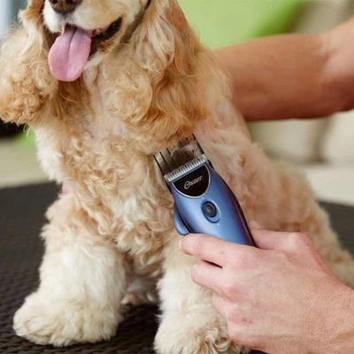 Oster Heimtierschermaschinen-Set 220 V 10 Oster Heimtierschermaschinen-Set 220 V – Bild 10