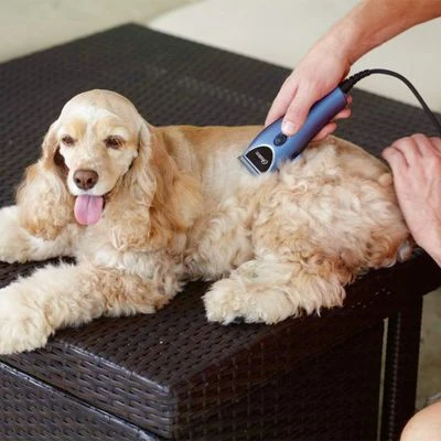 Oster Heimtierschermaschinen-Set 220 V 11 Oster Heimtierschermaschinen-Set 220 V – Bild 11