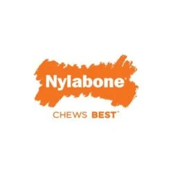 Nylabone Stick Alternative Kauspielzeug -Angebote Hunde Moden Store 58926 interpet nylabone puppybone hs 04 9