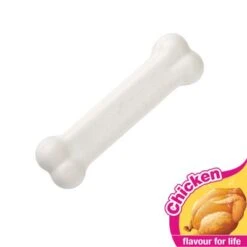 Nylabone Dura Chew Chicken -Angebote Hunde Moden Store 58927 interpet nylabone durachewchicken hs 05 5
