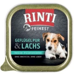RINTI Feinest Schälchen 11 X 150 G -Angebote Hunde Moden Store 60592 pla rinti finest gefl lachs 5