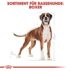 Royal Canin Boxer Adult -Angebote Hunde Moden Store 61118 rc breed boxer adult hs 01 8