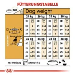 Royal Canin Boxer Adult -Angebote Hunde Moden Store 61118 rc breed boxer adult hs 04 7