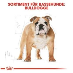 Royal Canin Bulldog Adult -Angebote Hunde Moden Store 61122 rc bulldog adult hs 05 9
