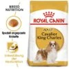 Royal Canin Cavalier King Charles Adult