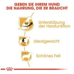 Royal Canin Cavalier King Charles Adult -Angebote Hunde Moden Store 61124 rc cavalier king charles hs 04 5