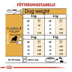Royal Canin Cavalier King Charles Adult -Angebote Hunde Moden Store 61124 rc cavalier king charles hs 06 2