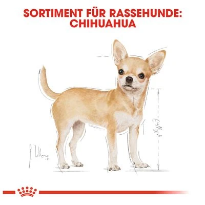 Royal Canin Chihuahua Adult 6 Royal Canin Chihuahua Adult – Bild 6