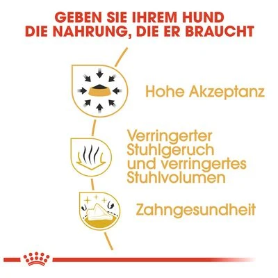 Royal Canin Chihuahua Adult 5 Royal Canin Chihuahua Adult – Bild 5