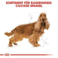 Royal Canin Cocker Adult -Angebote Hunde Moden Store 61129 rc breed cocker adult hs 01 8