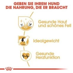 Royal Canin Cocker Adult -Angebote Hunde Moden Store 61129 rc breed cocker adult hs 03 5