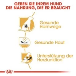 Royal Canin Dalmatian Adult 11 Royal Canin Dalmatian Adult -Angebote Hunde Moden Store 61132 rc bhn dalmatian cv eretailkit 3 de 3