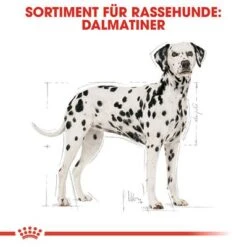 Royal Canin Dalmatian Adult 12 Royal Canin Dalmatian Adult -Angebote Hunde Moden Store 61132 rc bhn dalmatian cv hs 01 de 9