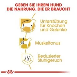 Royal Canin Dachshund Adult -Angebote Hunde Moden Store 61135 rc dachshund hs 03 9