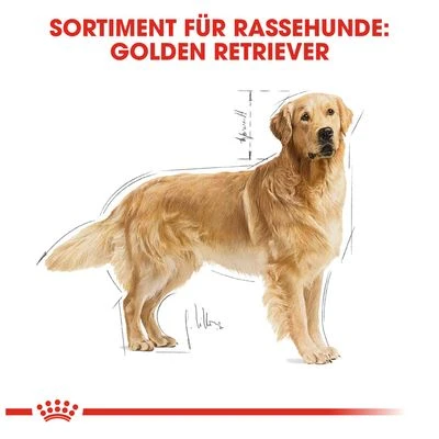 Royal Canin Golden Retriever Adult 6 Royal Canin Golden Retriever Adult – Bild 6