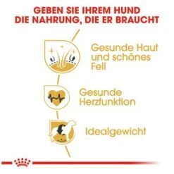 Royal Canin Golden Retriever Adult 11 Royal Canin Golden Retriever Adult -Angebote Hunde Moden Store 61146 rc golden retriever hs 03 8