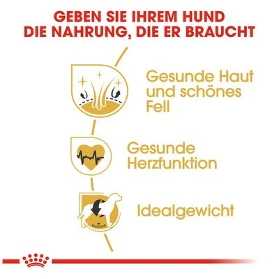 Royal Canin Golden Retriever Adult 5 Royal Canin Golden Retriever Adult – Bild 5