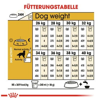 Royal Canin Golden Retriever Adult 7 Royal Canin Golden Retriever Adult – Bild 7