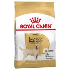 Sparpaket Royal Canin 24 Sparpaket Royal Canin -Angebote Hunde Moden Store 61151 pla royalcanin adulthund labradorretriever 5