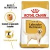 Royal Canin Labrador Retriever Adult
