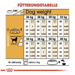 Royal Canin Labrador Retriever Adult 13 Royal Canin Labrador Retriever Adult -Angebote Hunde Moden Store 61151 rc labrador retriever hs 03 8