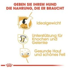 Royal Canin Labrador Retriever Adult 11 Royal Canin Labrador Retriever Adult -Angebote Hunde Moden Store 61151 rc labrador retriever hs 04 4