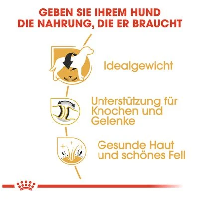 Royal Canin Labrador Retriever Adult 5 Royal Canin Labrador Retriever Adult – Bild 5