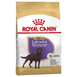 Sparpaket Royal Canin 22 Sparpaket Royal Canin -Angebote Hunde Moden Store 61153 pla royalcanin adulthund labradotsterilised 4