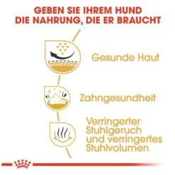 Royal Canin Shih Tzu Adult -Angebote Hunde Moden Store 61170 rc shihtzu adult hs 04 7