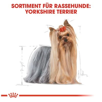 Royal Canin Yorkshire Terrier Adult 5 Royal Canin Yorkshire Terrier Adult – Bild 5