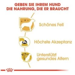 Royal Canin Yorkshire Terrier Adult 9 Royal Canin Yorkshire Terrier Adult -Angebote Hunde Moden Store 61173 rc yorkshire terrier hs 03 8