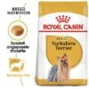 Royal Canin Yorkshire Terrier Adult