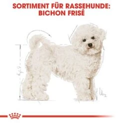 Royal Canin Bichon Frisé Adult -Angebote Hunde Moden Store 61339 rc breed bichon frise hs 01 9