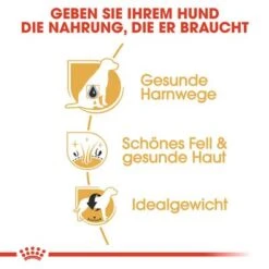 Royal Canin Bichon Frisé Adult -Angebote Hunde Moden Store 61339 rc breed bichon frise hs 03 7