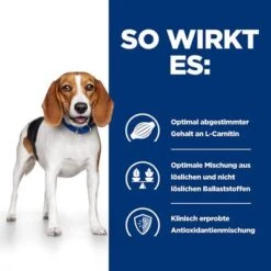 Hill's Prescription Diet R/d Weight Loss Nassfutter Für Hunde -Angebote Hunde Moden Store 64662 hills prescriptiondiet rd weightreduction nassfutter hunde hs 06 8