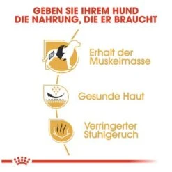 Royal Canin French Bulldog Adult 11 Royal Canin French Bulldog Adult -Angebote Hunde Moden Store 65427 rc frenchbulldog hs 04 9