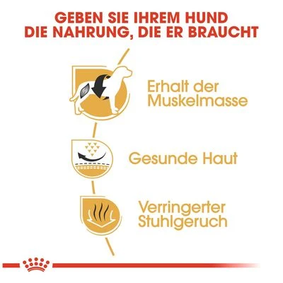 Royal Canin French Bulldog Adult 5 Royal Canin French Bulldog Adult – Bild 5