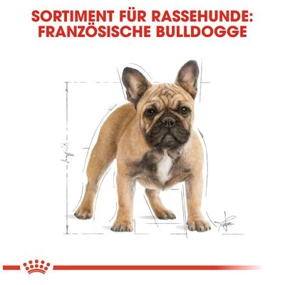 Royal Canin French Bulldog Adult 6 Royal Canin French Bulldog Adult – Bild 6